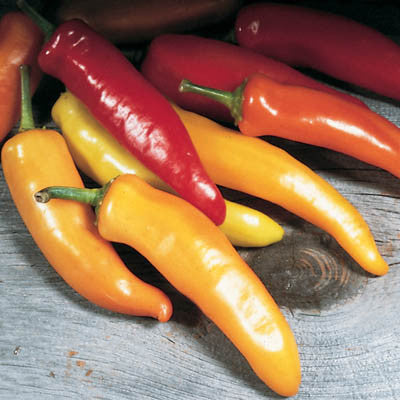 Cayenne Long Red Slim Hot Pepper Seeds — Seeds 'n Such