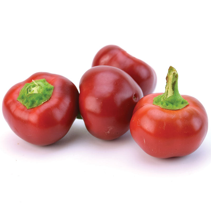 Pepper, Large Red Cherry Hot — Heirloom Vegetable and Flower Seeds of New  England