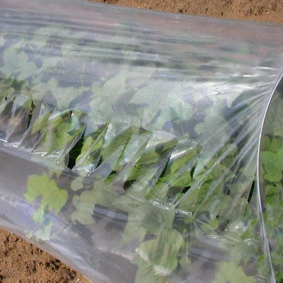 Row Cover Clear Slitted 6' x 1000' – Harris Seeds