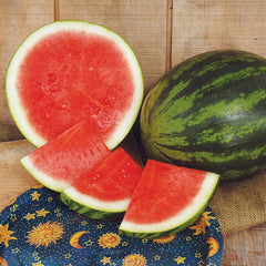 Watermelon Seeds for Planting – Harris Seeds