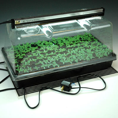 SunBlaster LED + Heat Mat Mini Greenhouse Combo